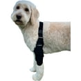thumbnail image 5 of Labra Canine Shoulder Wrap (Extra Large - Left Leg), 5 of 8