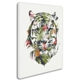 thumbnail image 2 of Trademark Fine Art 'Tropical Tiger' Canvas Art by Robert Farkas, 2 of 3