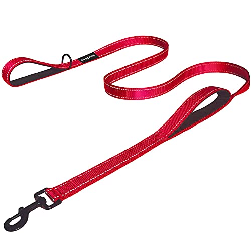 Dog Leash 6ft Long Traffic Padded Two Handle Heavy Duty Double Handles