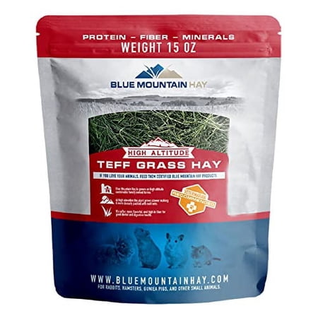 Blue Mountain Hay | 15 oz. Fresh Teff Grass Hay | Available in 15 oz. & 40 oz. Pouches | Nutritious, Delicious Meal Or Snack for Rabbits, Guinea Pigs, Hamsters, Gerbils, and Other Small Pets