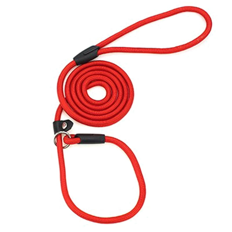 rope training leash
