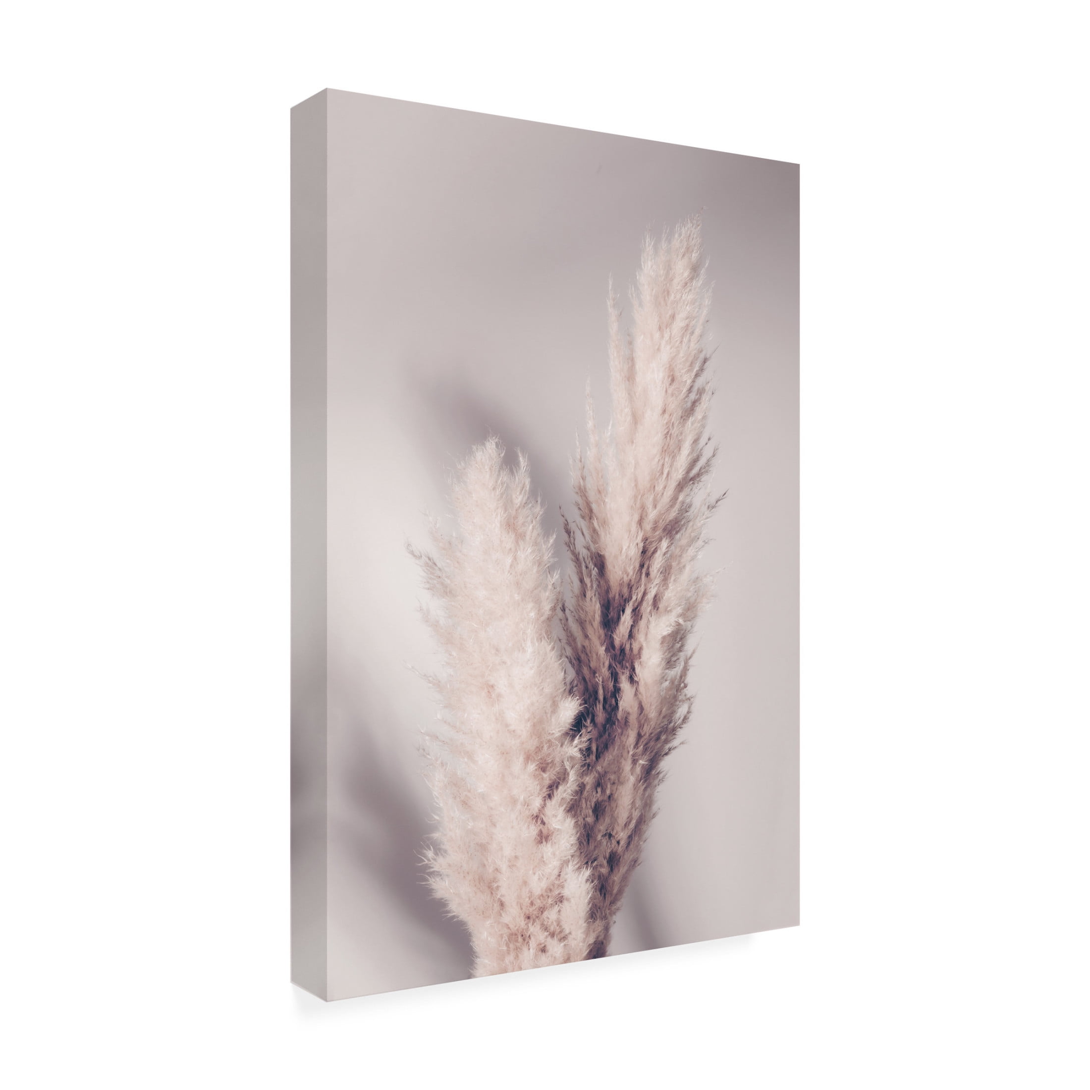 Pictufy Studio III 'Pampas Grass' Canvas Art - 30 x 47 Inches