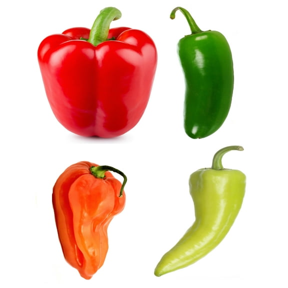 Spicy & Sweet Pepper Seeds Variety Pack – Big Red, Banana, Jalapeño & Habanero – Non-GMO Garden Seeds for Planting – Heirloom, High Yield, Indoor/Outdoor Growing