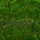 thumbnail image 2 of Alfombra de musgo artificial para manualidades, plantas decorativas verdes, simulación de paisajismo, decoración de jardines exteriores, proyectos de hadas, entusiastas de la decoración del hogar., 2 of 7