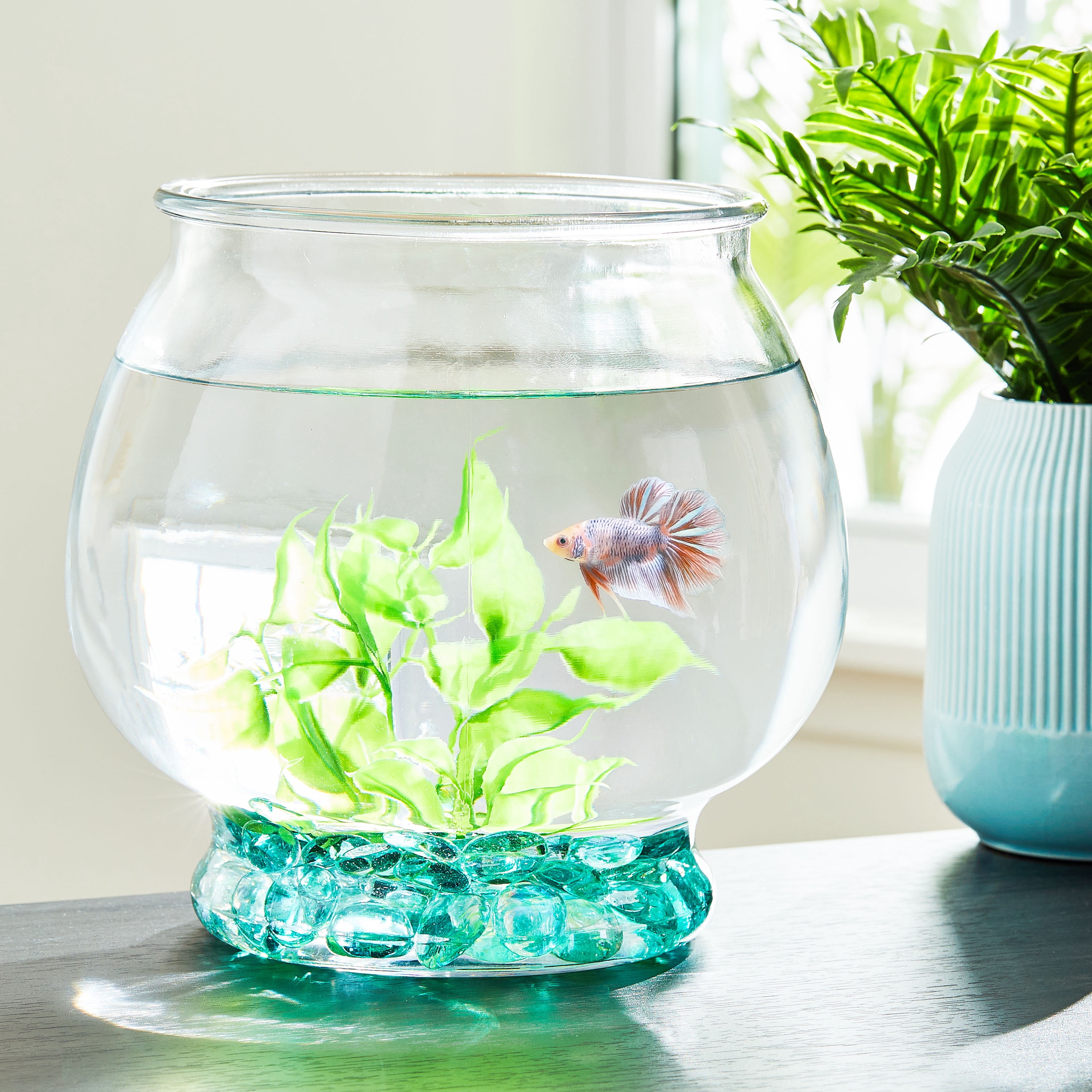 Vibrant Life Footed Glass Fishbowl, 1 Gallon - Walmart.com