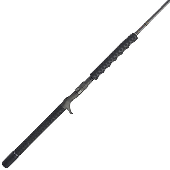 PENN Carnage III Conventional Jigging Rod, 6'2" Fishing Pole, Medium Heavy Power