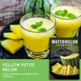 thumbnail image 3 of 2 Packs Yellow Petite Watermelon Seeds - Non-GMO Heirloom Full Sun Annual Vegetable, 3 of 8