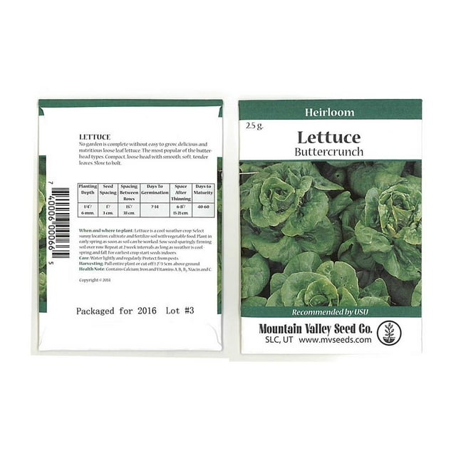 Lettuce Garden Seeds Buttercrunch 2.5 Gram Packet NonGMO