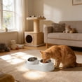 thumbnail image 5 of Double Cat Bowl Feeder with Removable Stainless Steel Bowls, 10° Tilted Raised Stand, Non-Slip Base & Spill-Proof Rim for Food and Water, 5 of 6