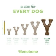 Benebone Wishbone Durable Dog Chew Toy for Aggressive Chewers, Real Chicken, Medium
