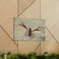 thumbnail image 6 of Crawfish Hunting Crawfish on Hunt Print Animal Wall Art Wildlife Canvas Prints Wall Art Ready to Hang Unframed, 6 of 18