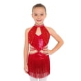 thumbnail image 2 of inlzdz Fringe Latin Dance Dress for Girls Sparkly Sequin Tassel Stage Outfit Chacha Rumba Jazz Ballet Leotards Red 16, 2 of 7