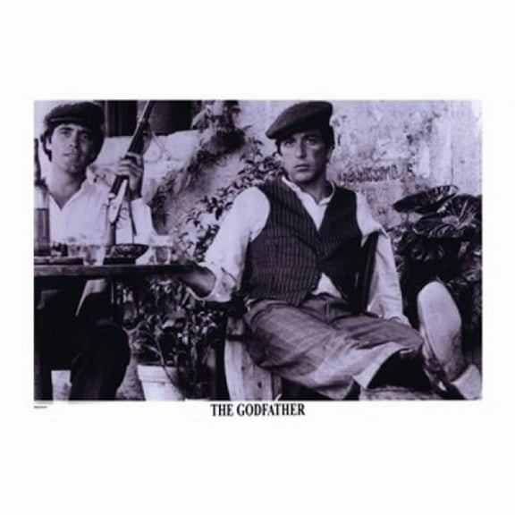 The Godfather Movie Poster (17 x 11)