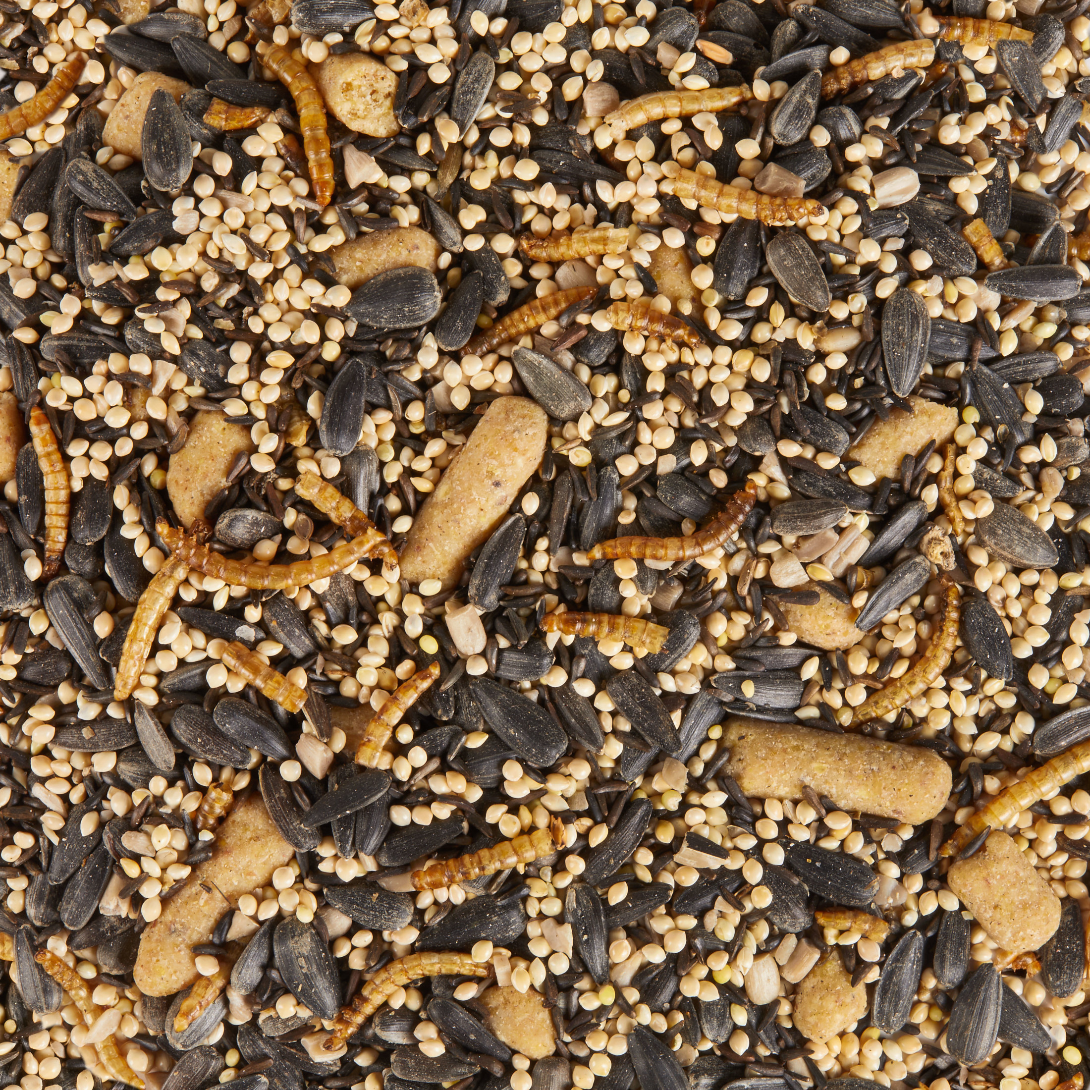 Kaytee Spring Migration Wild Bird Feed with High Energy Ingredients for Migratory Birds, 8 lbs