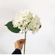 thumbnail image 1 of Xiao Hua 3 hortensias artificiales, flores falsas, flores artificiales para decoración de bodas., 1 of 5