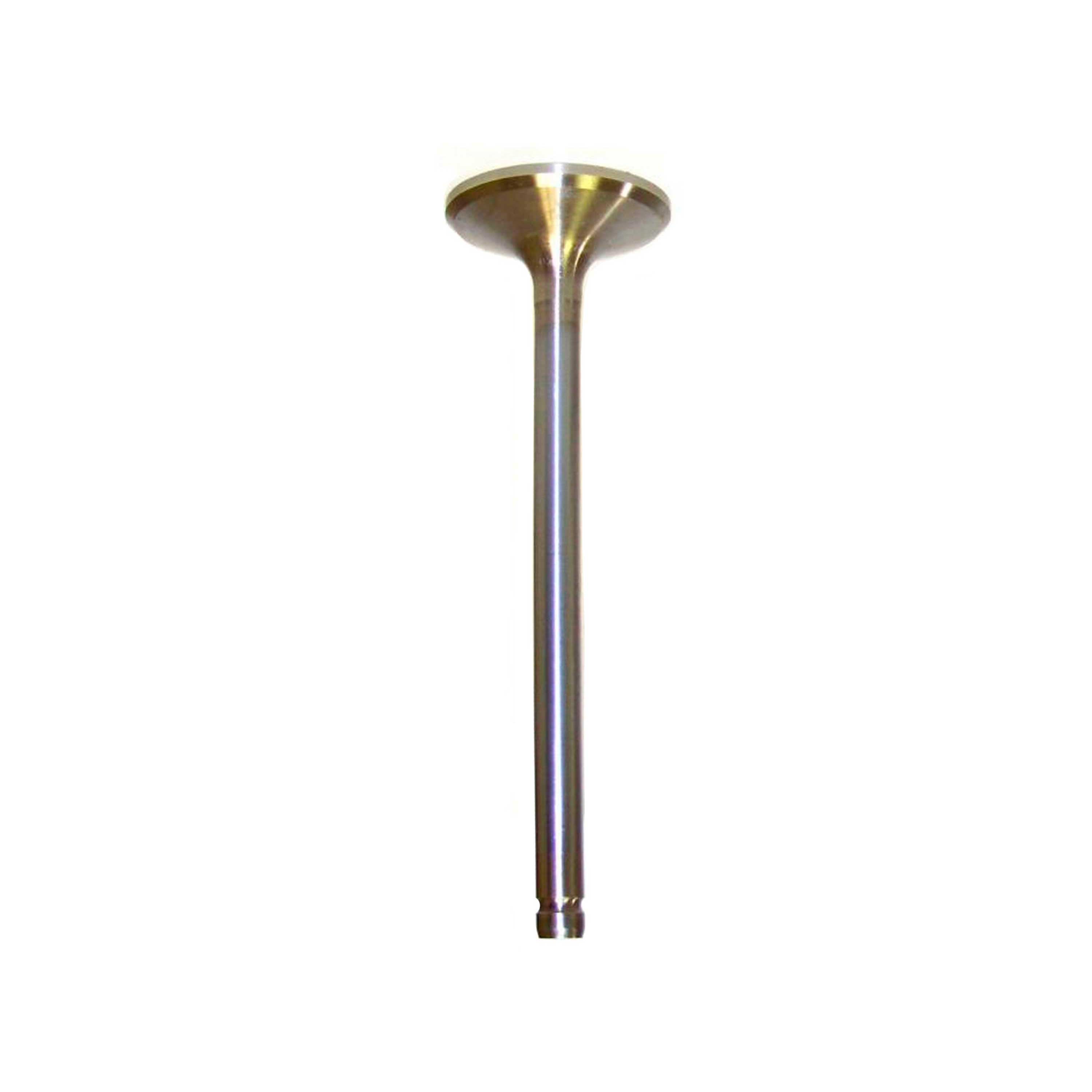 DNJ EV3165 Engine Cylinder Head Valve Train Exhaust Valve