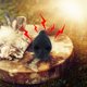 thumbnail image 1 of Silbato azteca de la muerte con sonido auténtico y forma de calavera. Auténtico silbato azteca con sonido único. El silbato azteca de la muerte más fuerte, ideal para coleccionar. Silbato de cerámica., 1 of 6