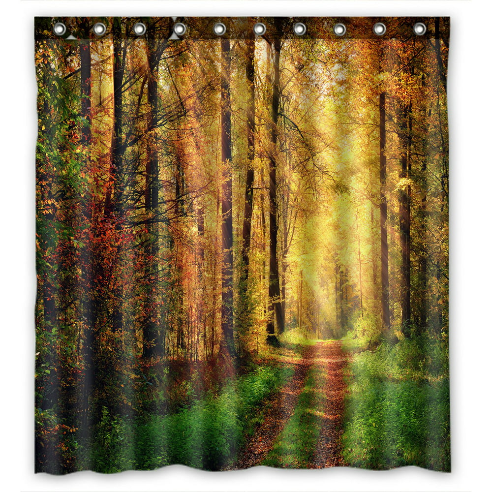 PHFZK Autumn Scene Shower Curtain, Autumn Trees in Sun Light Landscape ...