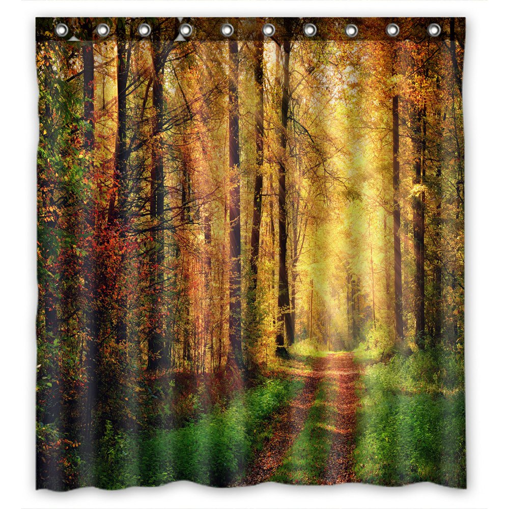 PHFZK Autumn Scene Shower Curtain, Autumn Trees in Sun Light Landscape