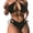 Black, variant on 2Pcs/Set Women Summer Bikini Set Solid Color Hollow Out Halter Bra High Waist Lace-up Swimming Briefs Set Quick Drying Bathing Suit