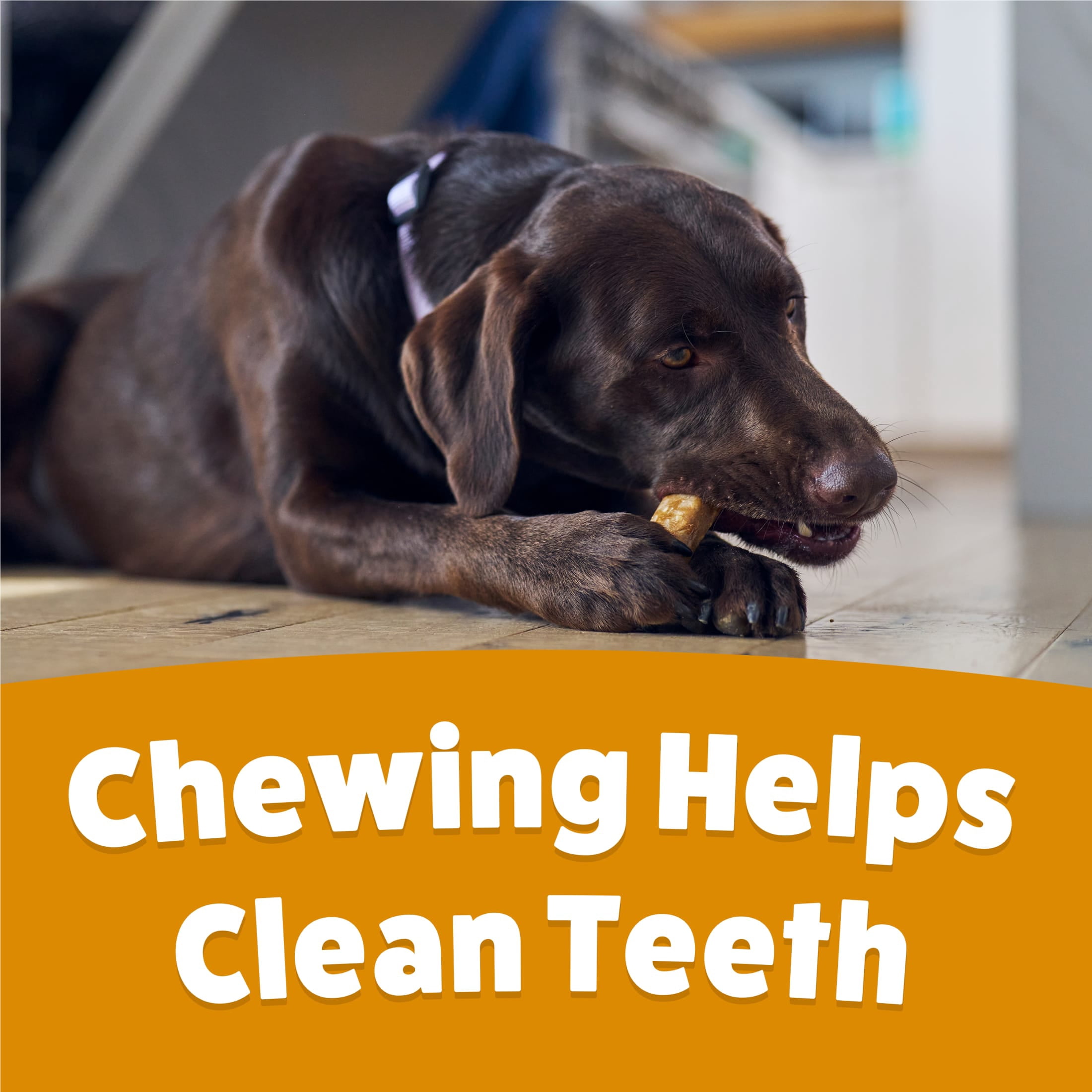 Purina Busy Chewnola Large Breed Beefhide Chews for Dogs, Long-Lasting Dog Snacks, 20 oz, 4 Pack
