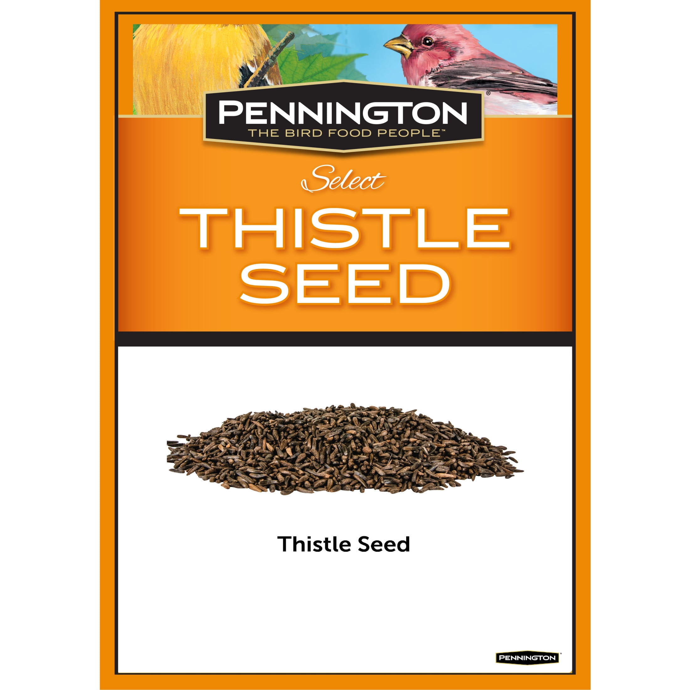 Pennington Select Thistle Seed, Dry Wild Bird Feed and Seed, 10 lb. Bag, 1 Pack
