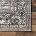 thumbnail image 5 of nuLOOM Xenia Faded Transitional SplashGuard Machine Washable Area Rug, 4' x 6', Xenia Taupe, 5 of 9