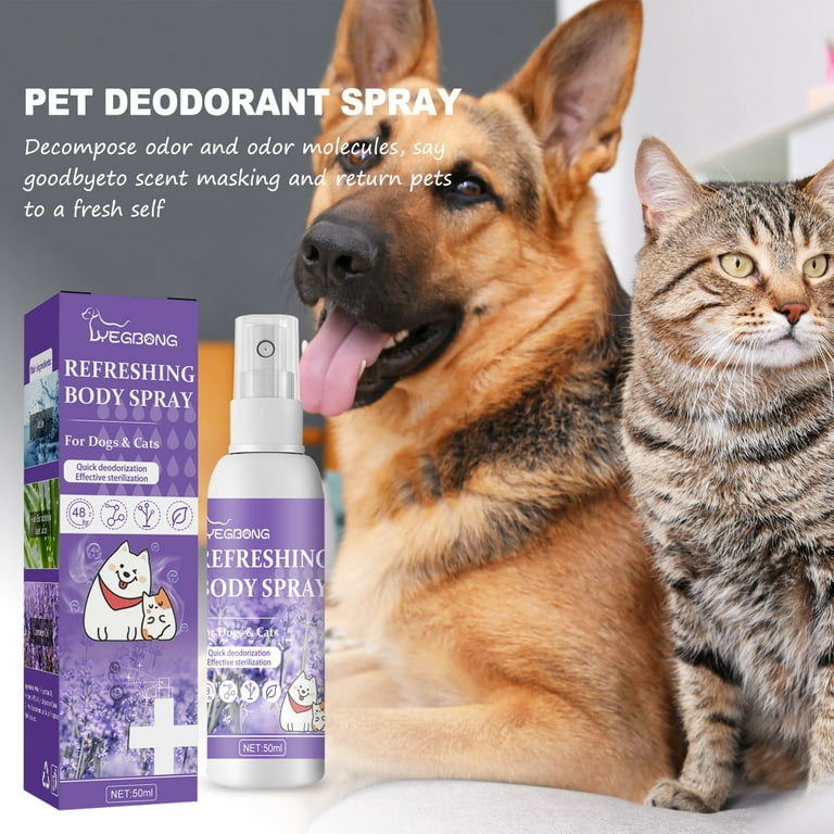 Cat perfume pets at home hotsell