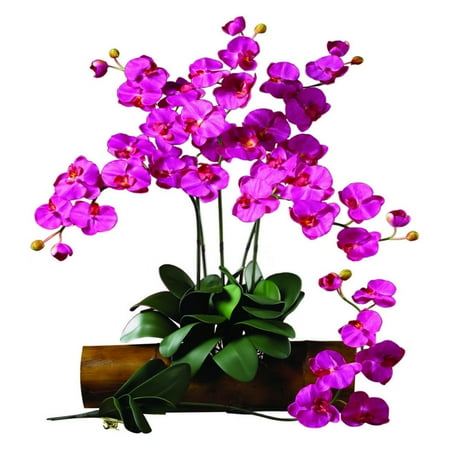 Beauty Stems - Nearly Natural Phalaenopsis Stem, Beauty, 12pc