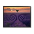 thumbnail image 2 of Stupell Industries Rows of Lavender Flowers Warm Sunset Field Design by Lee Sie, 2 of 5
