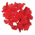 thumbnail image 3 of All-Weather Red Geranium Bush by OakRidge™, 3 of 4