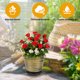 thumbnail image 4 of WEUVEB 5Jgo Macetas Para Plantas Indoor Outdoor Con Drenaje Doradas En Material PP Duradero, 4 of 6
