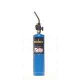 Bernzomatic 14 oz Propane Cylinder (1 Pack) - Walmart.com