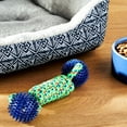 thumbnail image 2 of Vibrant Life Playful Buddy TPR Spikey Balls W Rope Coil Dog Chewy Toy, 2 of 7