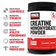 thumbnail image 2 of FORCE FACTOR Creatine Monohydrate, Creatine Powder for Muscle Gain, More Strength, and Faster Workout Recovery, Clinically Studied Micronized Creatine 5g Dose Per Serving, Unflavored, 60 Servings, 2 of 5