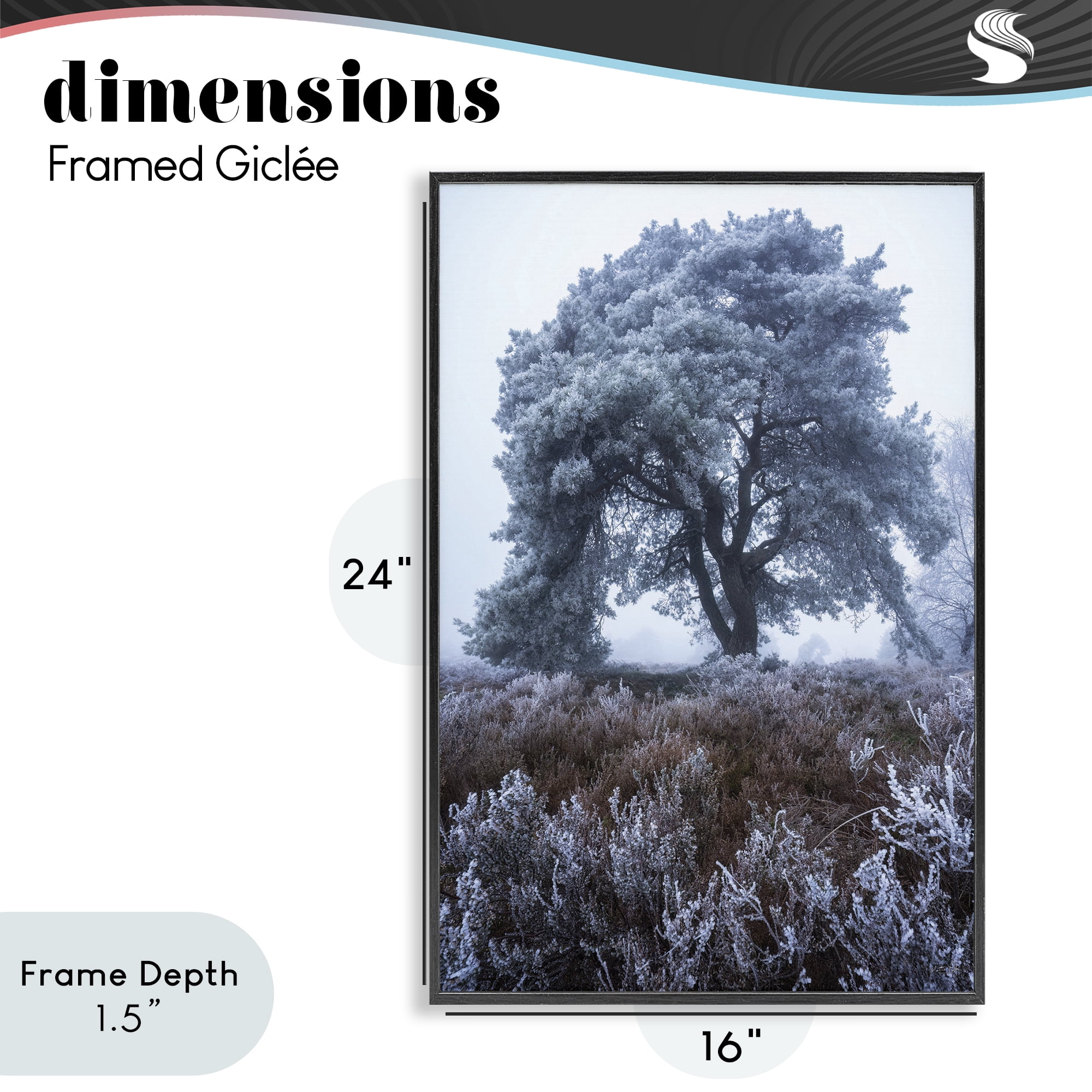 Stupell Industries Frosted Tree in Winter Mist Black Framed Giclee Art, design by Martin Podt
