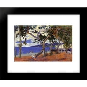 Coastal Landscape from Martinique 20x24 Framed Art Print by Paul Gauguin