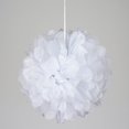 thumbnail image 2 of BalsaCircle 6 Pieces White 6" Paper Pom Poms Balls Bridal Event Birthday Party Decorations, 2 of 6