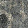 thumbnail image 6 of Nourison Fusion FSS16 Beige/Grey Area Rug 2'2" x 7'6", 6 of 7