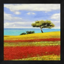 Mediterraneo II by Angelo Masera, Framed Wall Art, 13.25W x 13.25H