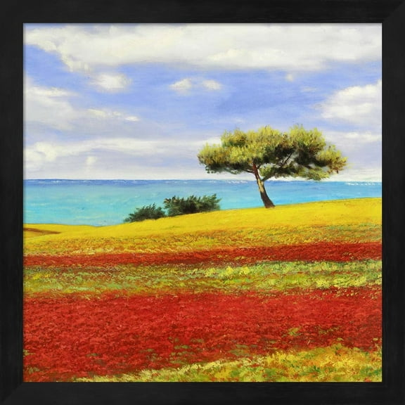 Mediterraneo II by Angelo Masera, Framed Wall Art, 13.25W x 13.25H