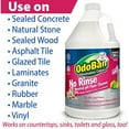 Odoban Pet Solutions 1 Gal Neutral Ph Floor Cleaner Concentrate, 4Pack