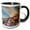 Black/White, variant on 3drose, Greece, Santorini, Oia, Colorful Buildings - Eu12 Dgu0366 - Darrell Gulin, 11oz Two-tone Green Mug