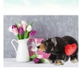thumbnail image 6 of Dollibu I Love You Heart Wild Black Bear Plush - 11 inches, 6 of 6