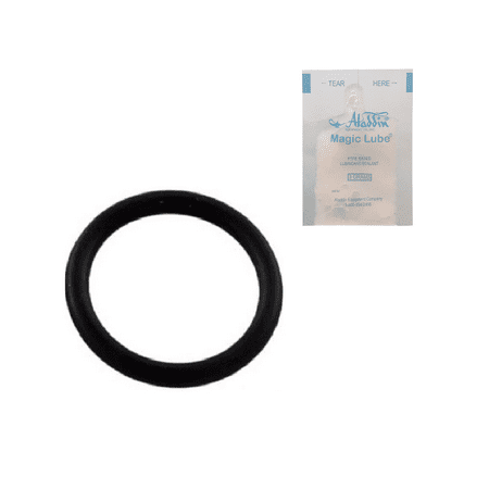 - Puri Tech O-RING -Replaces Sta-Rite U9-229 & Others w/ Single Use Lubricant