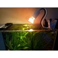 thumbnail image 2 of Reptile Heat Lamp Terrarium Heat Lamp Tortoise Heat Lamp, 2 of 5