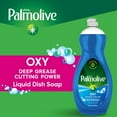 Palmolive Ultra Dishwashing Liquid Dish Soap, Oxy Power Degreaser 32.