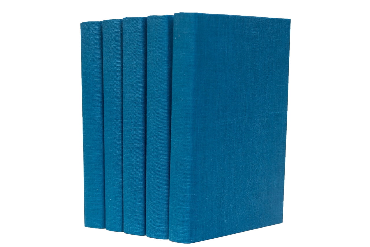 Louis Vuitton Rebonds - Blue Books, Stationery & Pens, Decor & Accessories  - LOU820462