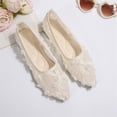 thumbnail image 6 of Ballet Flat Shoes for Women Lightweight Comfortable Breathable Mesh Lace Pointed Toe Shoes for Women 42, 6 of 7