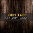 thumbnail image 3 of Hair Solution Gold 90 grams / 3.17 oz Hair Dye Toasted Caramel 5.37 Color - Hair Dye Permanent + Peroxide Cream Vol 20  + Hair Care Gloves, 3 of 8